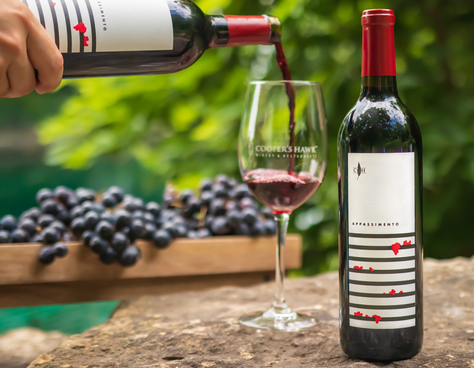 A bottle of red wine is being poured into a glass.