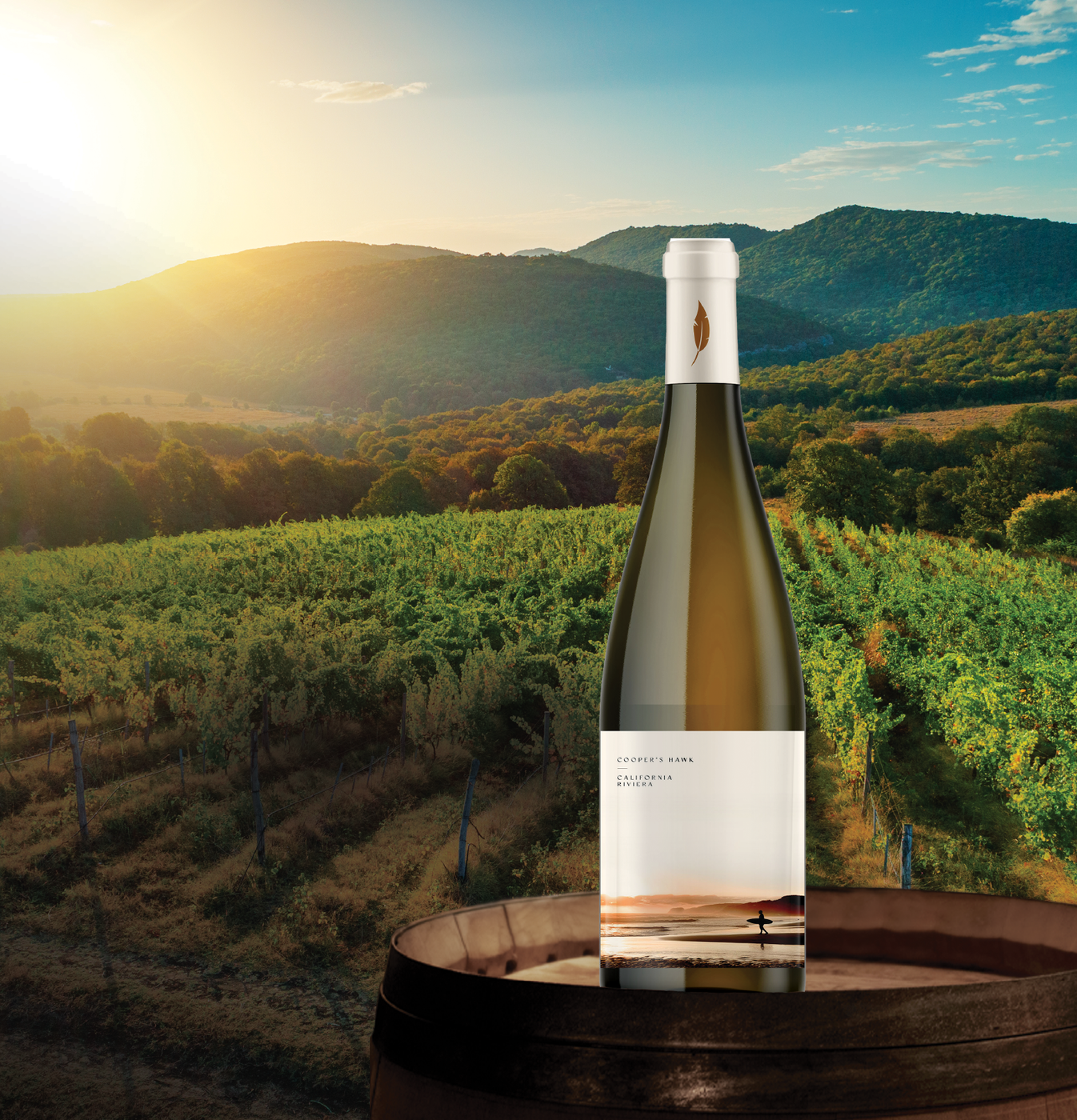 California Riviera Bottle Image with mountains and vineyard in background