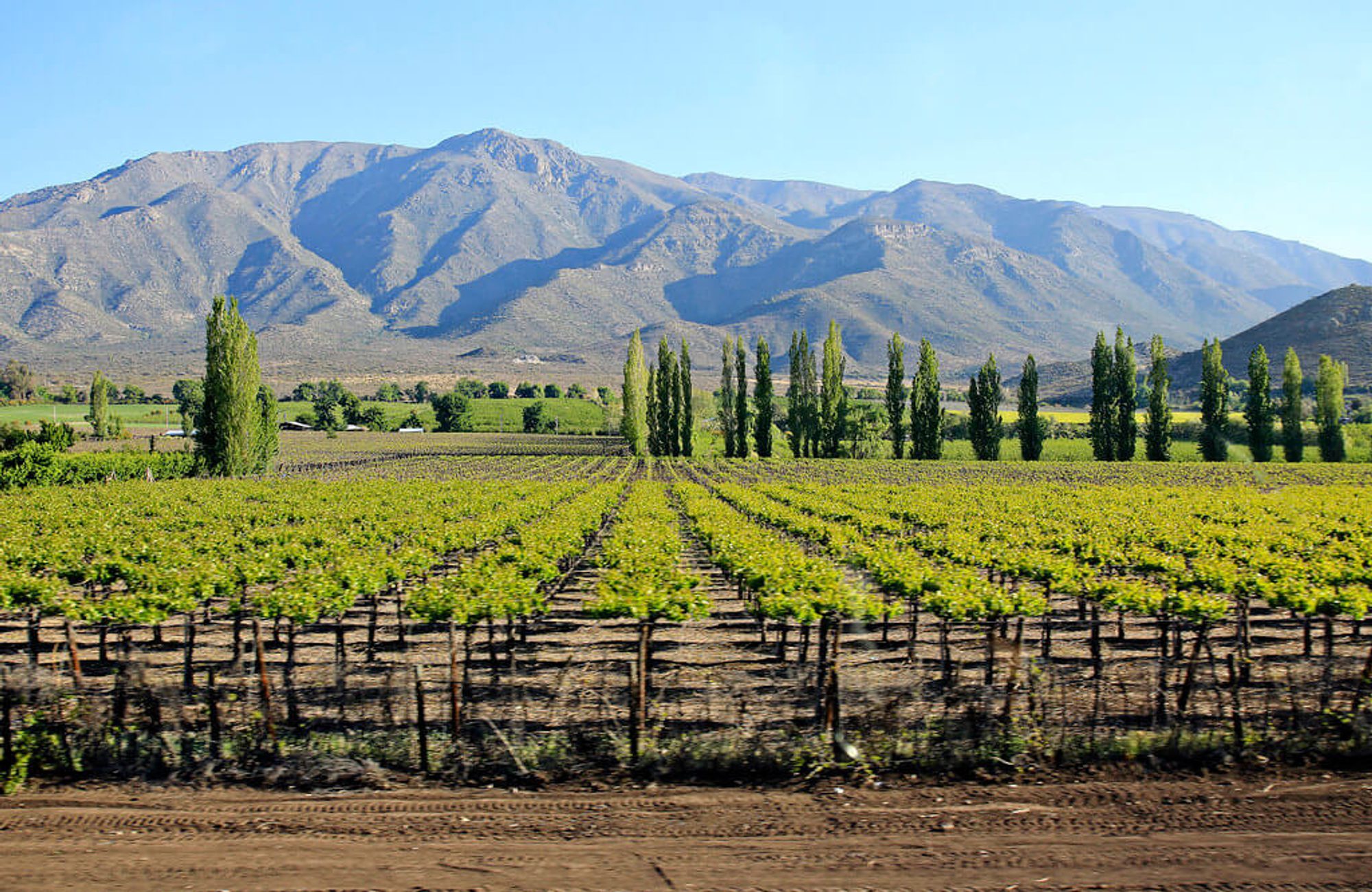 Chile wine club trip