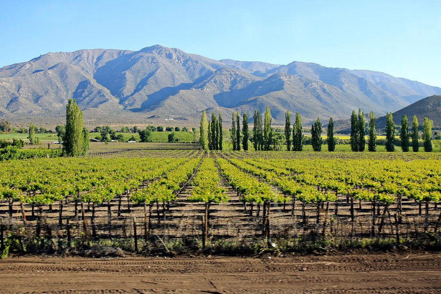 Chile wine club trip