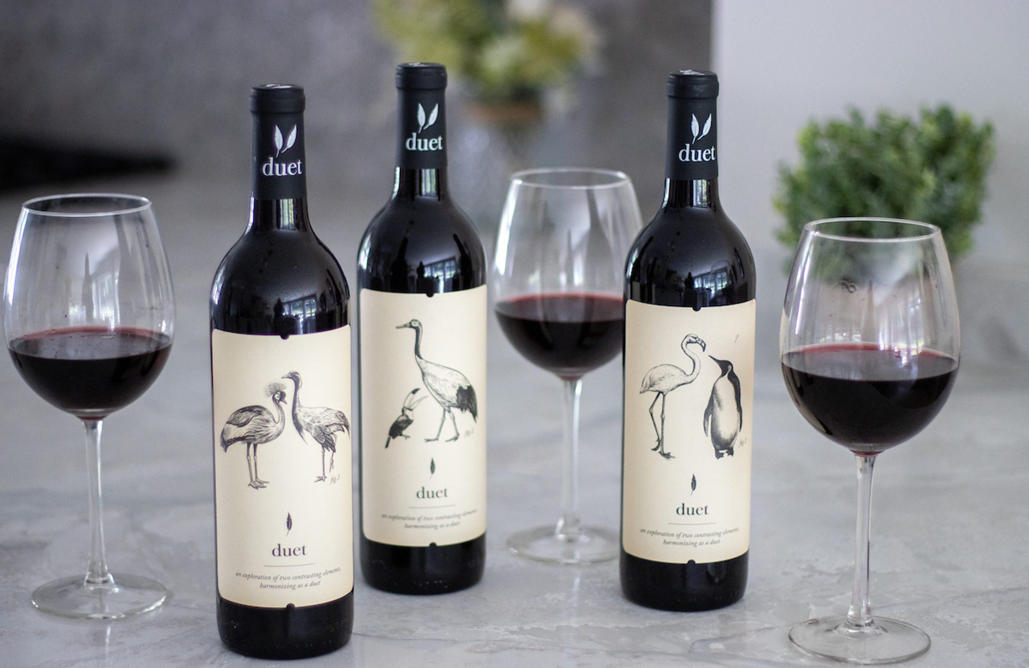 A group of wine bottles and glasses of wine.