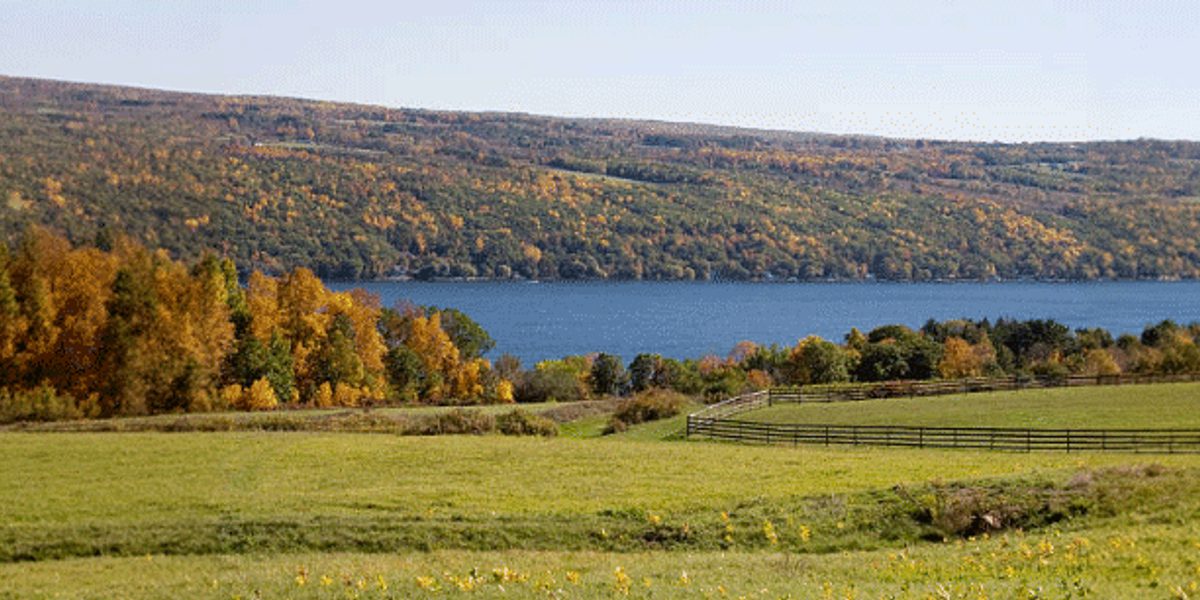 Rolling green fields and wooden fences leading to a tree-lined shore with a blue lake and distant hills in autumn