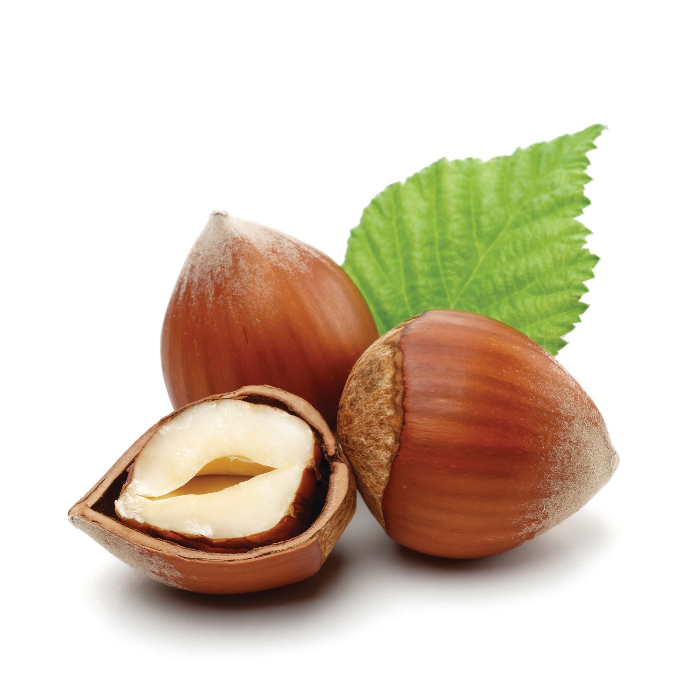 Hazelnut