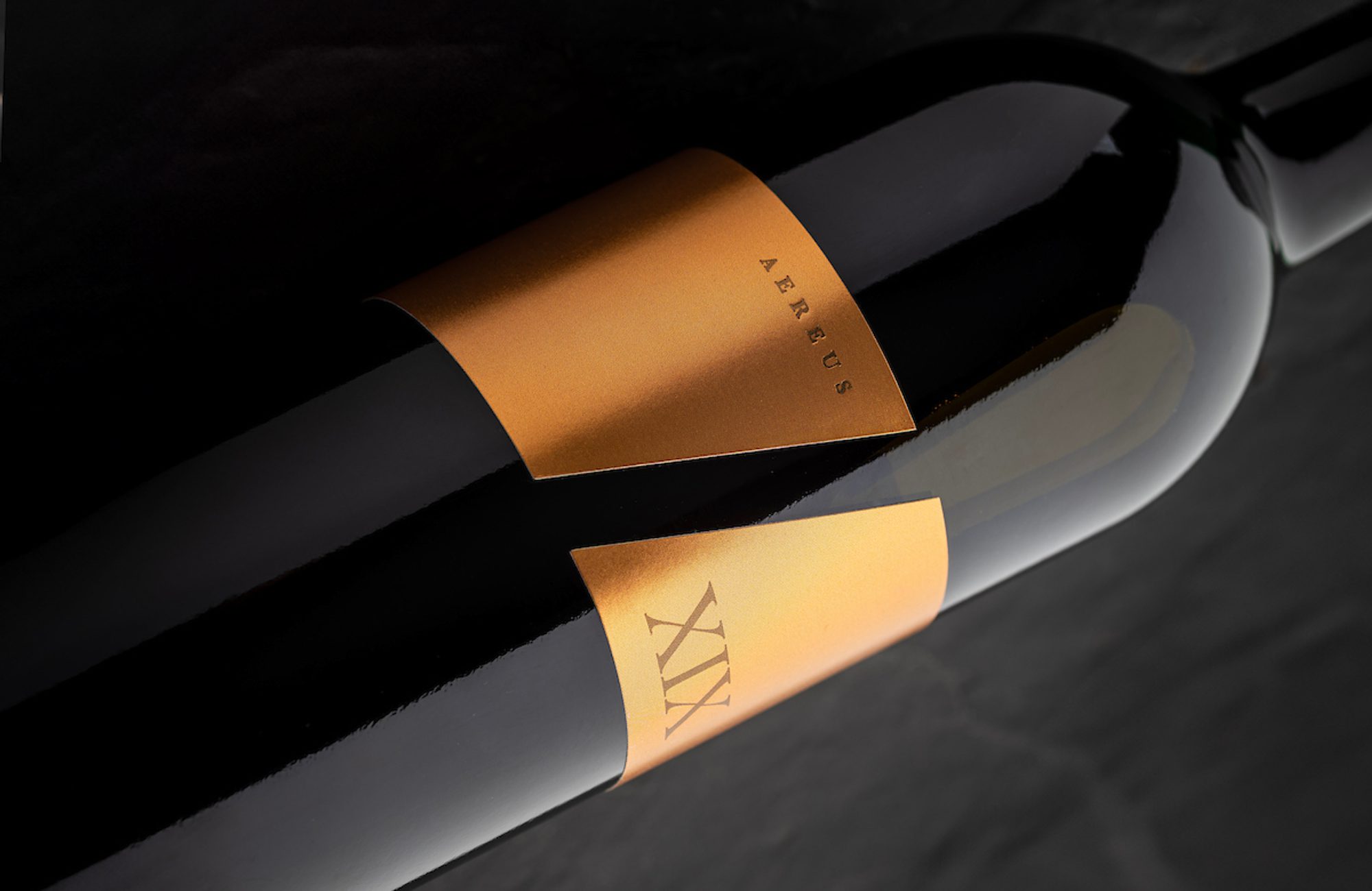 IMG 0093 edited angle 2