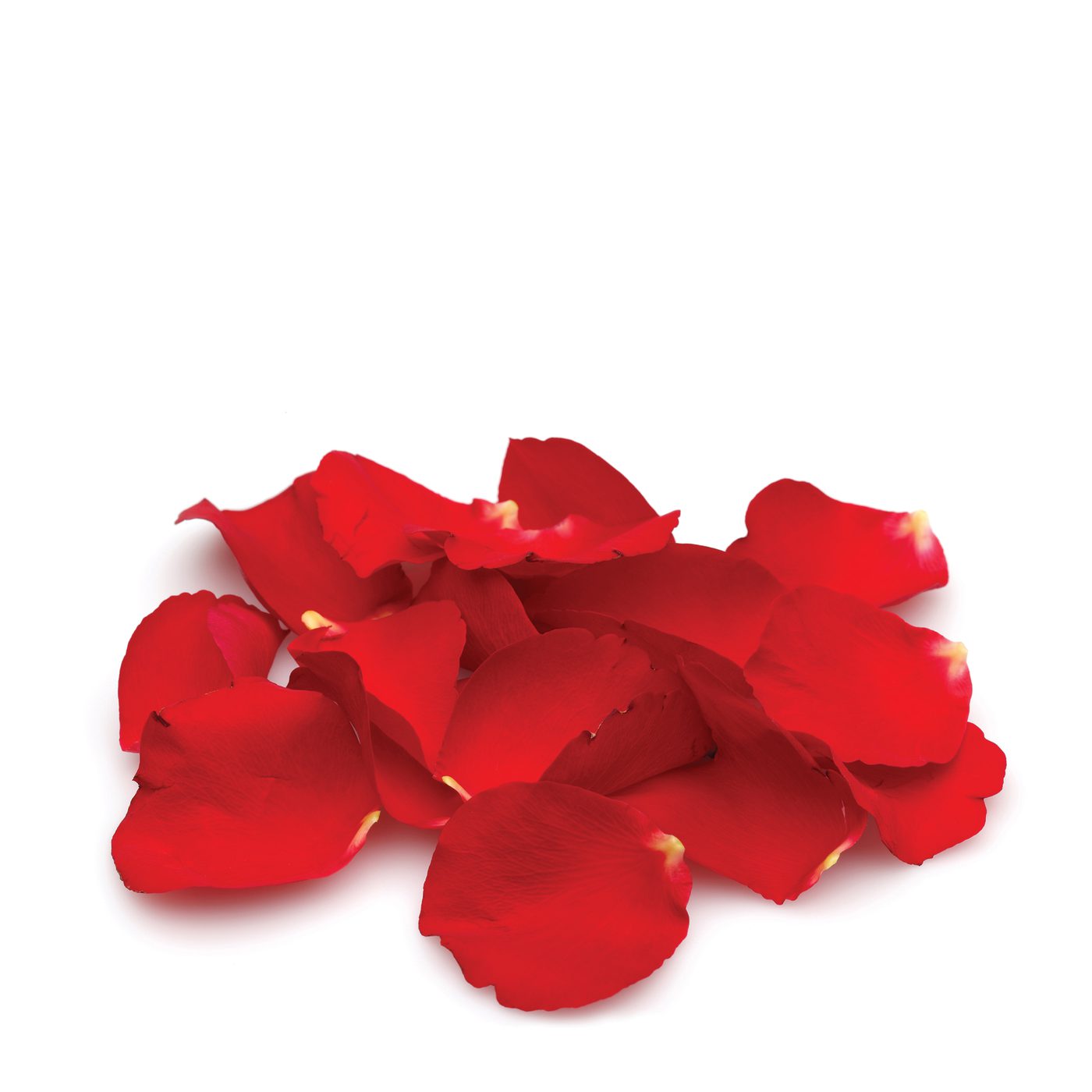 Rose Petals