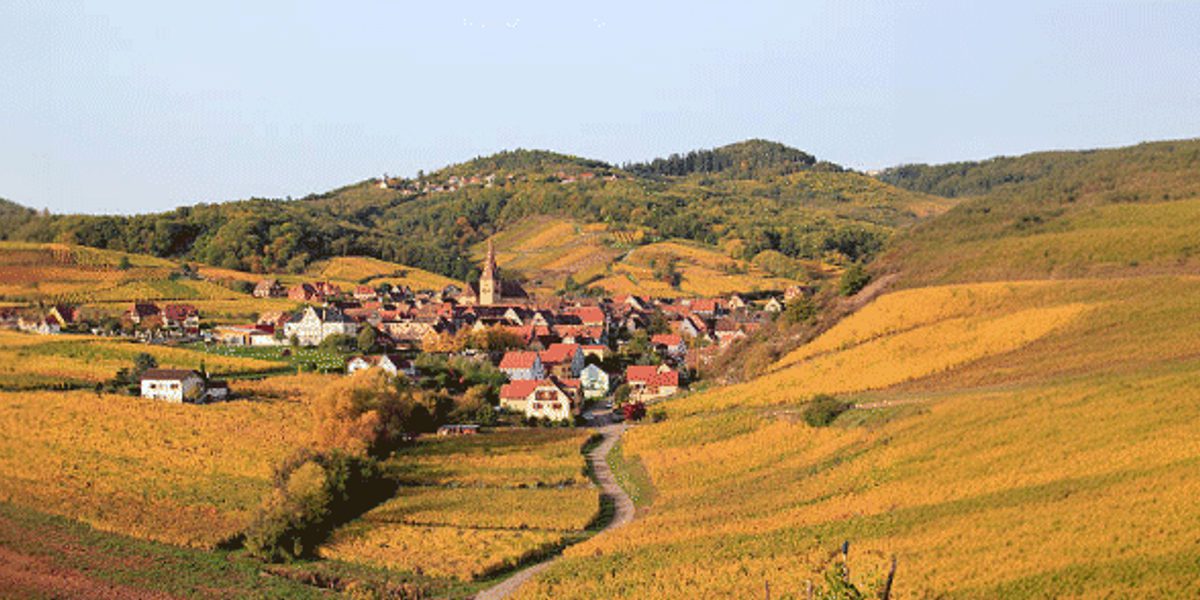 Rolling patchwork farmland with a small village and church steeple nestled in a valley