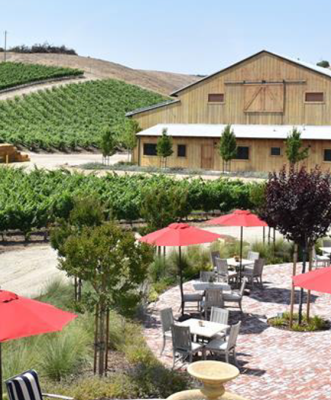Image of Beautiful Scenery: Wine Club Trips