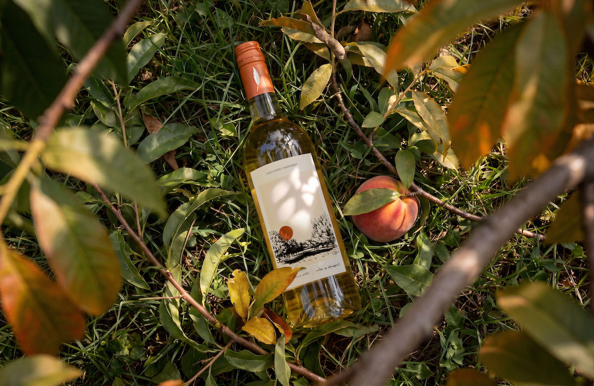 Wine bottle with an orchard label леж in grass among leafy branches, next to a ripe peach, lit by warm sunlight filtering through foliage