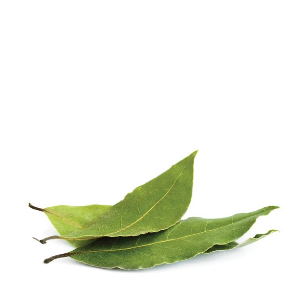 Bay Leaf