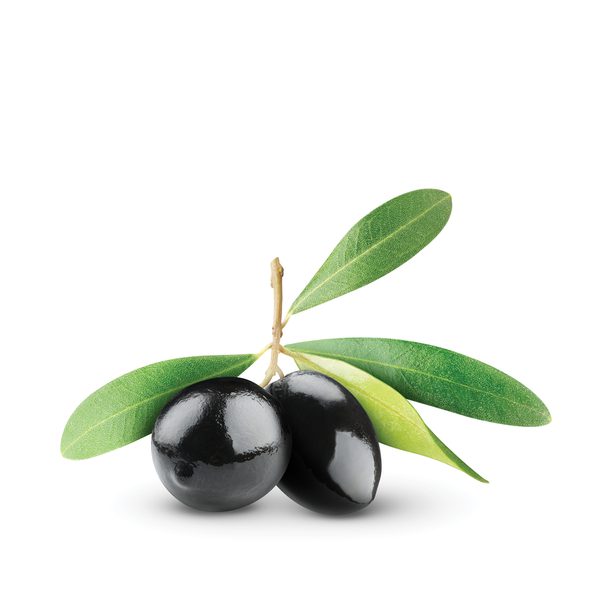 Black Olive
