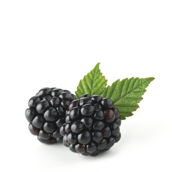 Blackberry