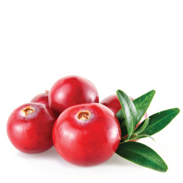 Cranberry