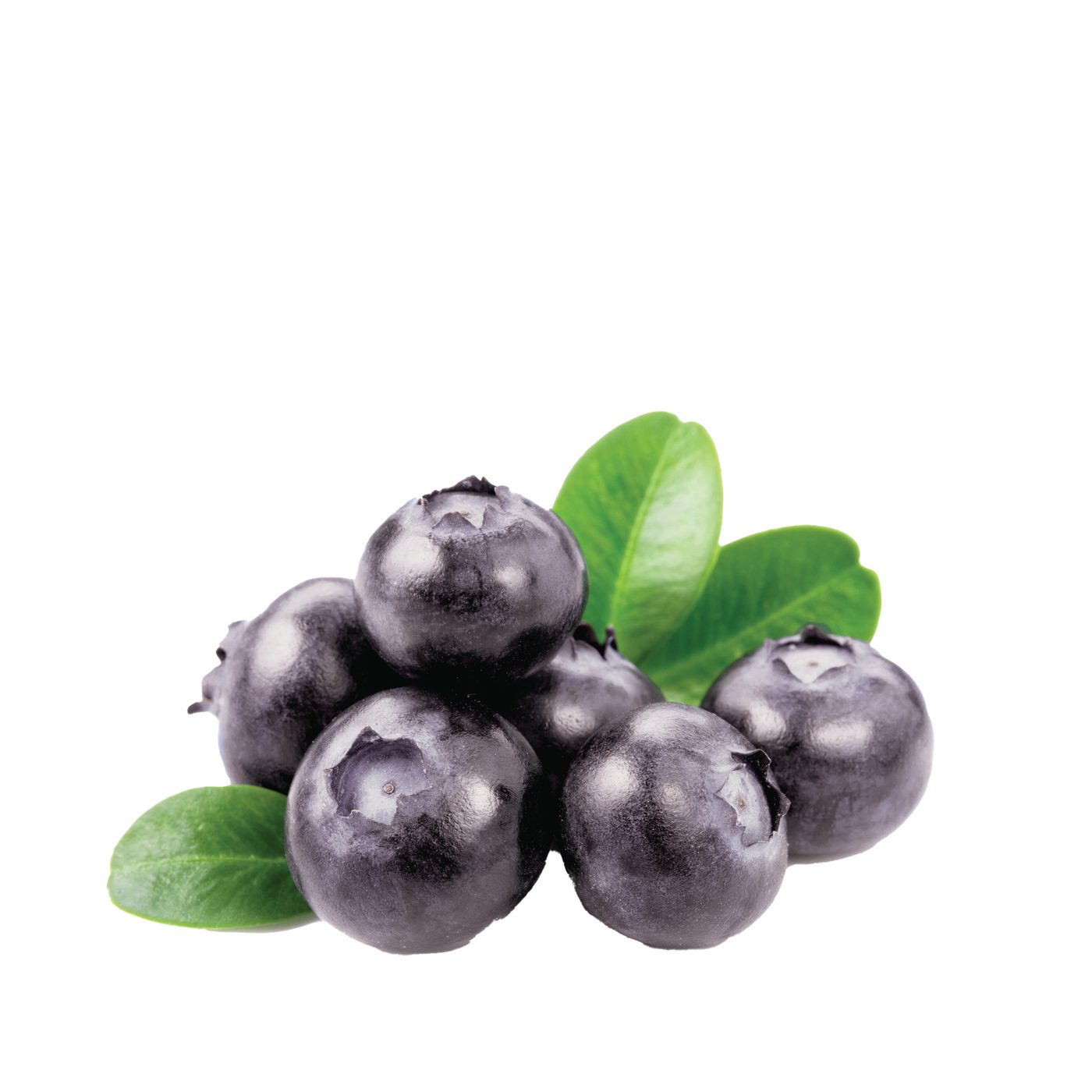 Huckleberry