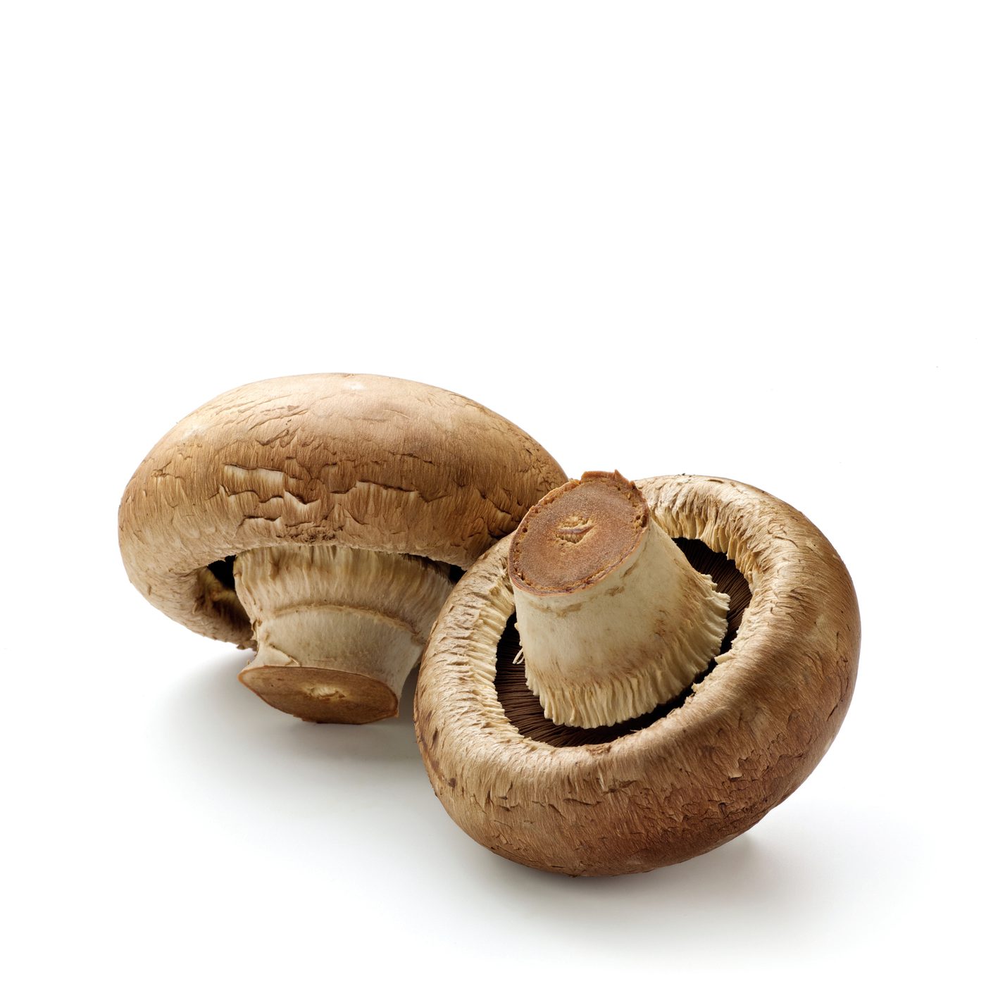Mushrooms