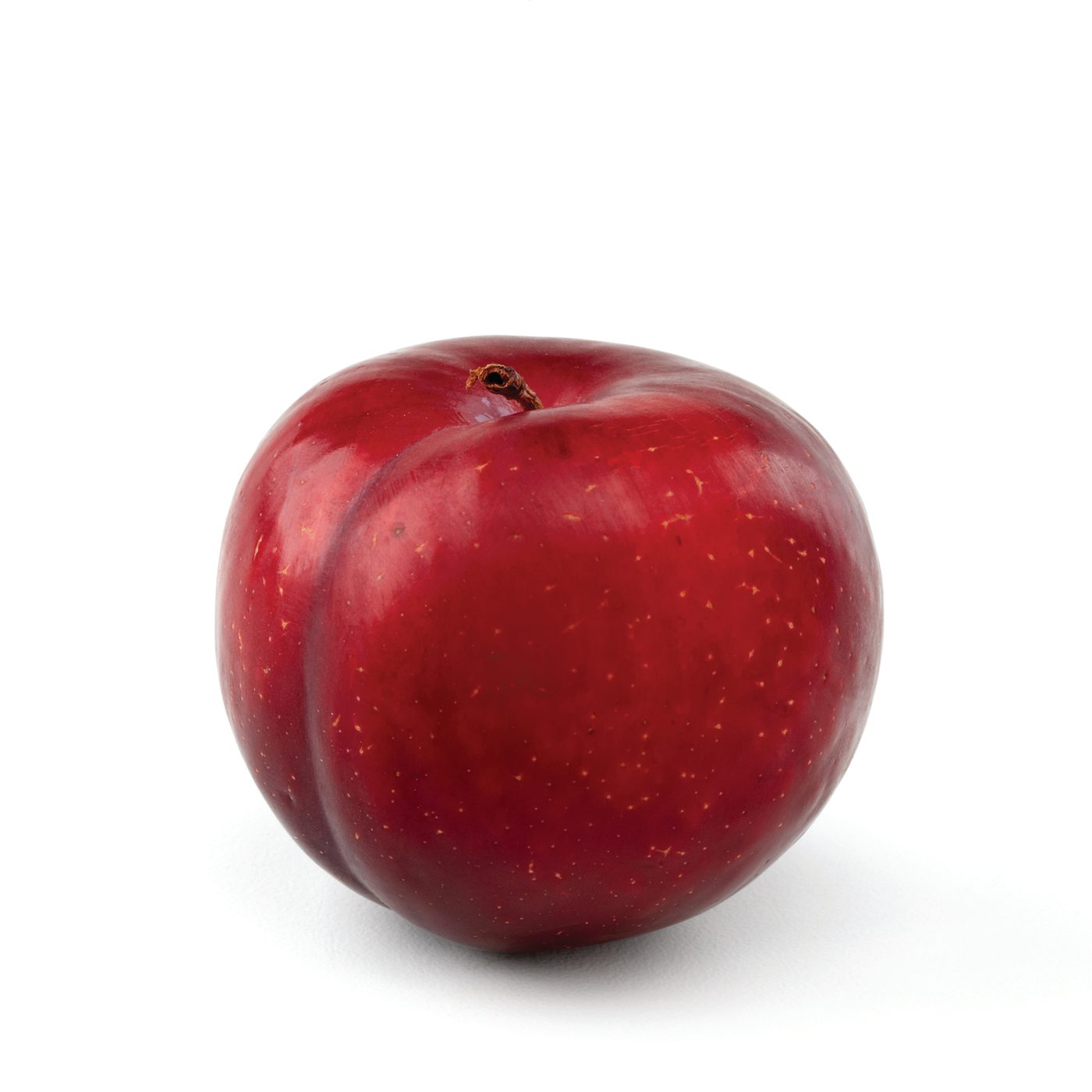 Plum