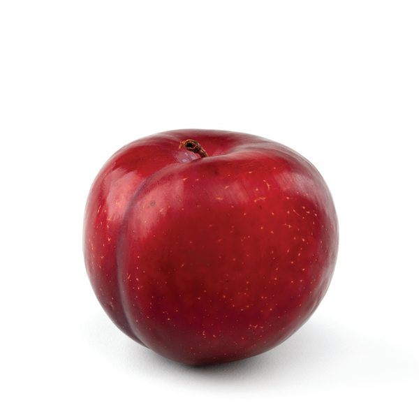 Plum