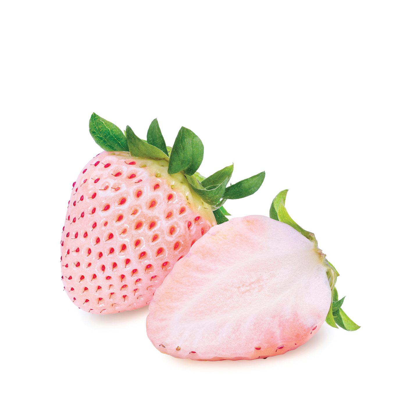 White Strawberry