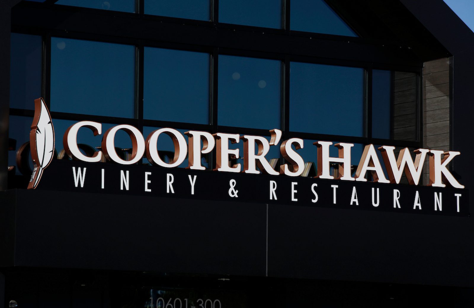 Jacksonville Mandarin Landing FL Cooper s Hawk Jacksonville mandarin landing fl cooper s hawk