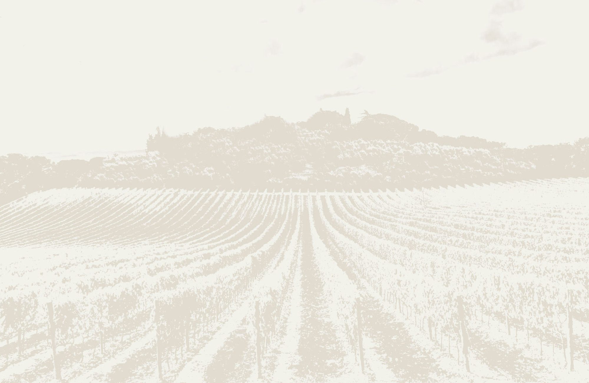 A black and white image of a vineyard with a castle in the background.